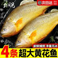 北海湾 黄花鱼 整条速冻 净重200-240g/条*4