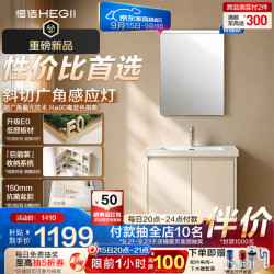 恒洁 BM2215S-50Q4 E0级陶瓷一体盆 智能浴室柜