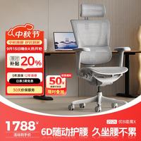 Ergonor 保友优b2/雄鹰 电脑椅人体工学椅家用 电竞椅办公椅子靠背老板椅 灰框-银白网-尼龙脚 精准承托 舒适久坐