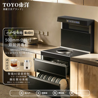 東洋 小尺寸集成灶一体灶小型家用公寓小户型纯电双电电磁炉电陶炉双合一大吸力油烟机灶具套装一体