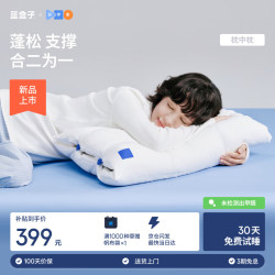 蓝盒子 枕中枕N3记忆棉枕头成人深睡枕护颈枕新品抗菌防螨慢回弹10/12cm
