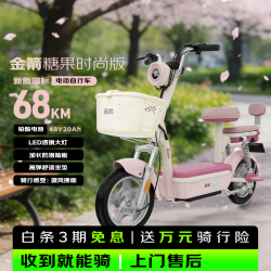 金箭 超长续航 电动自行车