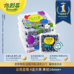 Driscoll's 云南蓝莓14mm+ 4盒装 约125g/盒 新鲜水果