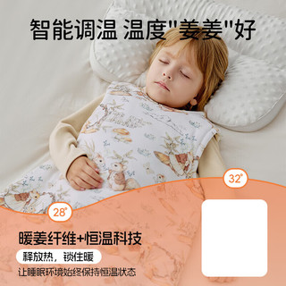 欧孕 暖姜恒温蚕丝婴儿睡袋 70码 花鸟之歌
