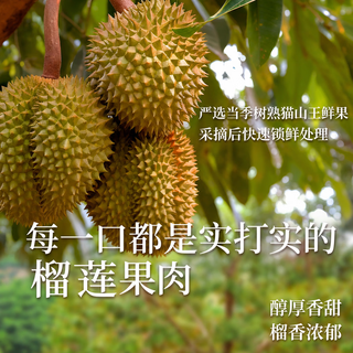 熊治 猫山王榴莲冰皮月饼 ≥50%果肉 8枚*50g