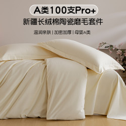 轻奢100S纯棉陶瓷磨毛四件套加厚简约全棉床单被罩单人三件套床品