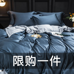 80支双面拼色天丝四件套丝滑裸睡纯色双面欧式冰丝床上用品简约风