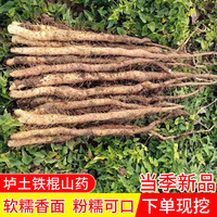 温县正宗垆土铁棍山药怀山药新鲜现挖产地直销3斤起