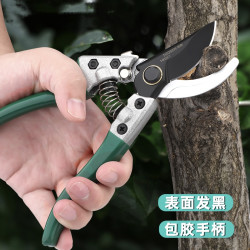 拓森工具8寸果枝剪SK5弯头粗枝剪园艺剪摘果园林树枝剪刀修枝剪