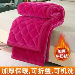 冬季加厚牛奶绒床垫防滑可折叠加绒床褥子垫被学生榻榻米保护软垫