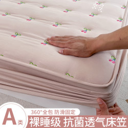 秋思 抗菌水洗棉夹棉床笠单件加厚床罩单人席梦思床垫保护套防尘床单套