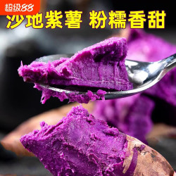 其它 紫薯新鲜板栗红薯4.5斤