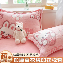 PRO-LOVE 冬季牛奶绒枕套一对装家用48x74cm雪花绒枕芯内胆套宿舍学生整头2