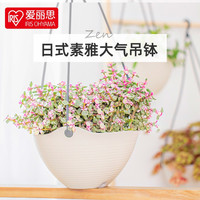 爱丽思 树脂塑料 吊兰盆 多肉绿萝花盆