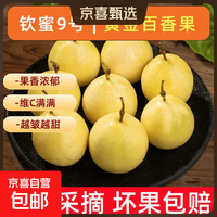 京喜加 钦蜜9号黄金百香果整箱包邮新鲜水果当季现摘纯甜如蜜 20粒装（单果30-45g）