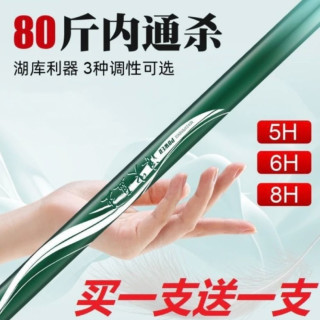黑胶渔具全新款正品买一送一超轻超硬5H28调6H19调8H19调碳素鱼竿