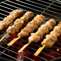 泰森 烧鸟串 鸡肉串掌中宝鸡皮串组合 1.338kg