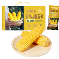 十月稻田 【新玉米·品种升级】黄甜糯玉米 10根 4.4斤