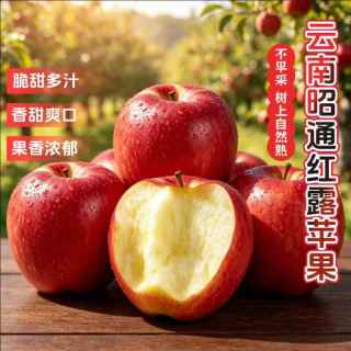 贡鲜果农 云南昭通红露苹果脆果新果丑苹果当季新鲜采摘纯甜味 净重4.5-5斤60-69mm