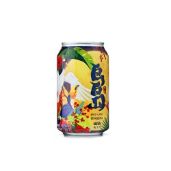 Master Gao 鸟岛新中国IPA 浑浊精酿啤酒 13.6°P 330ml*24听