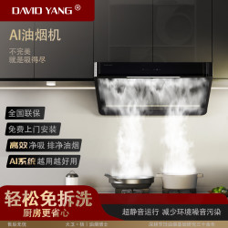 DAVID YANG大卫·杨 大卫·杨大卫杨AI智能油烟机｜2055Pa超强静压·99.3%油脂分离｜终身免拆洗技术｜