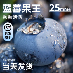 正宗蓝莓新鲜水果22mm+特大果花香当季高山鲜果现摘顺丰包邮