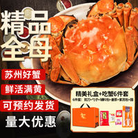 湖中秋色 全母大闸蟹3.0-3.3两8只 螃蟹鲜活海鲜生鲜中秋盒 源头直发 全母3.0-3.3两8只