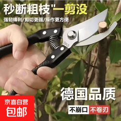 强力剪园艺剪不锈钢剪刀剪枝剪专用省力剪子切屑花芽修花剪刀修枝剪剪刀 sk5园艺剪