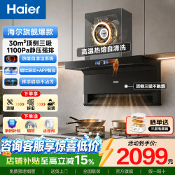 海尔 油烟机 顶侧三吸抽烟机 30m³变频大吸力｜热熔自清洗｜挥手智控