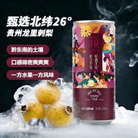 NINE&TEN 玫瑰刺梨气泡果酒 310ml