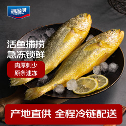 海名威 鲜冻黄花鱼 2条 700g