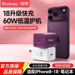 羽博 氮化镓充电器60W快充PD充电头适配苹果18笔记本AVS协议充电器