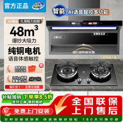 南油 抽油烟机新款家用自动清洗大吸力静音7字型顶侧双吸油烟机5.2kw燃气灶套装双九腔猛火灶一级能效