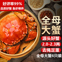 湖鲜阳澄 大闸蟹 去绳足重 2.2-2.5两 8只 鲜活六月黄超大螃蟹海鲜礼盒装