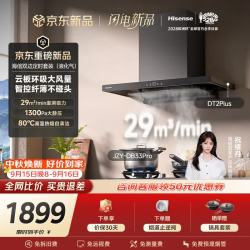 海信 烟灶套装29立方大吸力1300Pa家用抽排吸油烟机DT2Plus+4.8KW双边定时液化气燃气灶DB33Pro