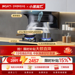 名气 顶侧双吸27风量大吸力  抽吸油烟机【搭X101A