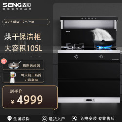 森歌 集成灶g2c家用一体式方便清洗大吸力速排烟猛火新款小户型集成灶 保洁柜款 天然气 左排烟
