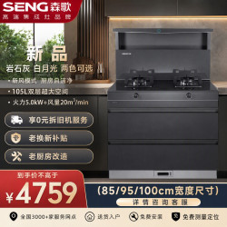 森歌 L1消毒柜款蒸烤炸家用集成灶一体灶新款油烟机燃气灶猛火灶一体机官方店 消毒柜款 10