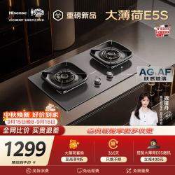 海信 双定时AG易清洁国标一级家用燃气灶补贴烟灶联动JZT-E5S