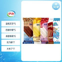 伊利 甄稀支棒蓝莓芝芝四重柠檬流心多口味伊利冰淇淋大布丁经典