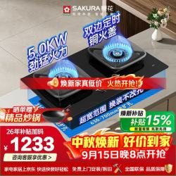 樱花 燃气灶液化气大火力家用双灶5.0kW免扩孔可安装烟灶联动双定时猛火灶64%高热效率JGC12