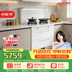 奥田 白色D3S二星消毒柜集成灶变频950Pa强压抽油烟机集成一体燃气灶