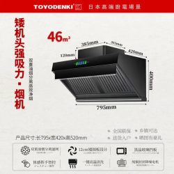 TOYODENKI 厨房油烟分离抽油烟机矮款侧吸家用油烟机大吸力不锈钢直流变频大功率 800mm