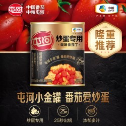 屯河 番茄丁300g