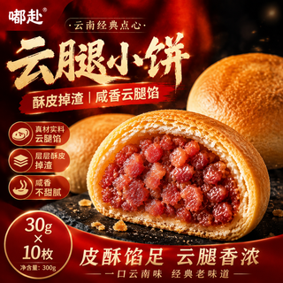 嘟赴 云腿月饼 滇式传统老火腿 30g*10个