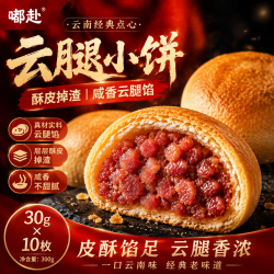嘟赴 云腿月饼 滇式传统老火腿30g*10个
