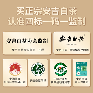 安吉白茶 明前一级绿茶 3g*32袋 独立便携装