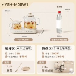 小熊 全玻璃养生壶办公室小型一人恒温煮茶壶纯玻璃烧水壶2026新款