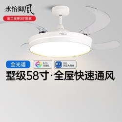 政府补贴15%永怡御风电风扇灯墅级客厅大风力餐厅风超静音吊扇灯