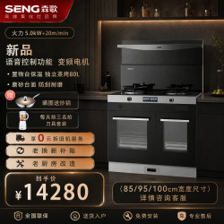 森歌 集成灶i5zkz-G家用消毒柜一体机环保灶油烟机燃气灶蒸烤一体灶具套装正品新品 蒸烤独立 i5z